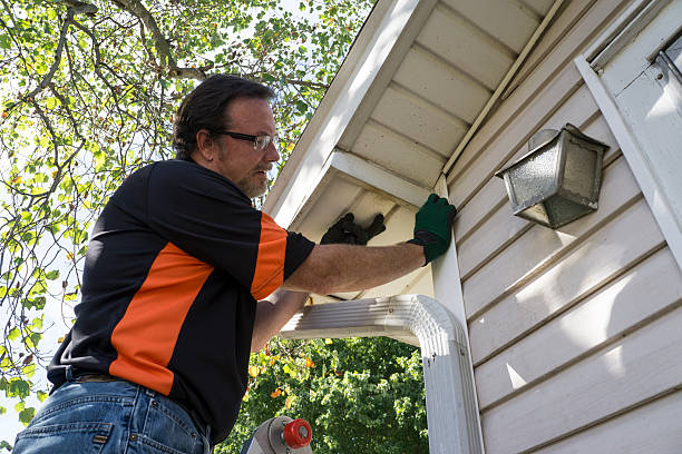 Best Fascia and Soffit Installation  in Tolono, IL