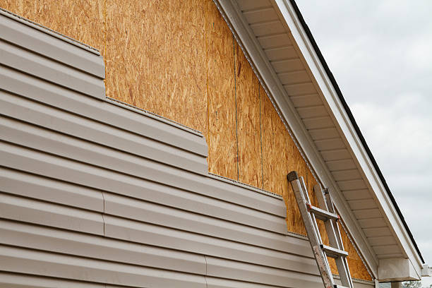 Best Vinyl Siding Installation  in Tolono, IL